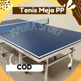 Tenis Meja Pingpong, frame besi