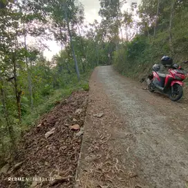 Tanah Pekarangan Murah