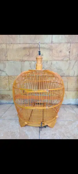 sangkar burung puter plitur