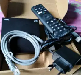 Android zte v5 box merubah TV biasa jadi android tv