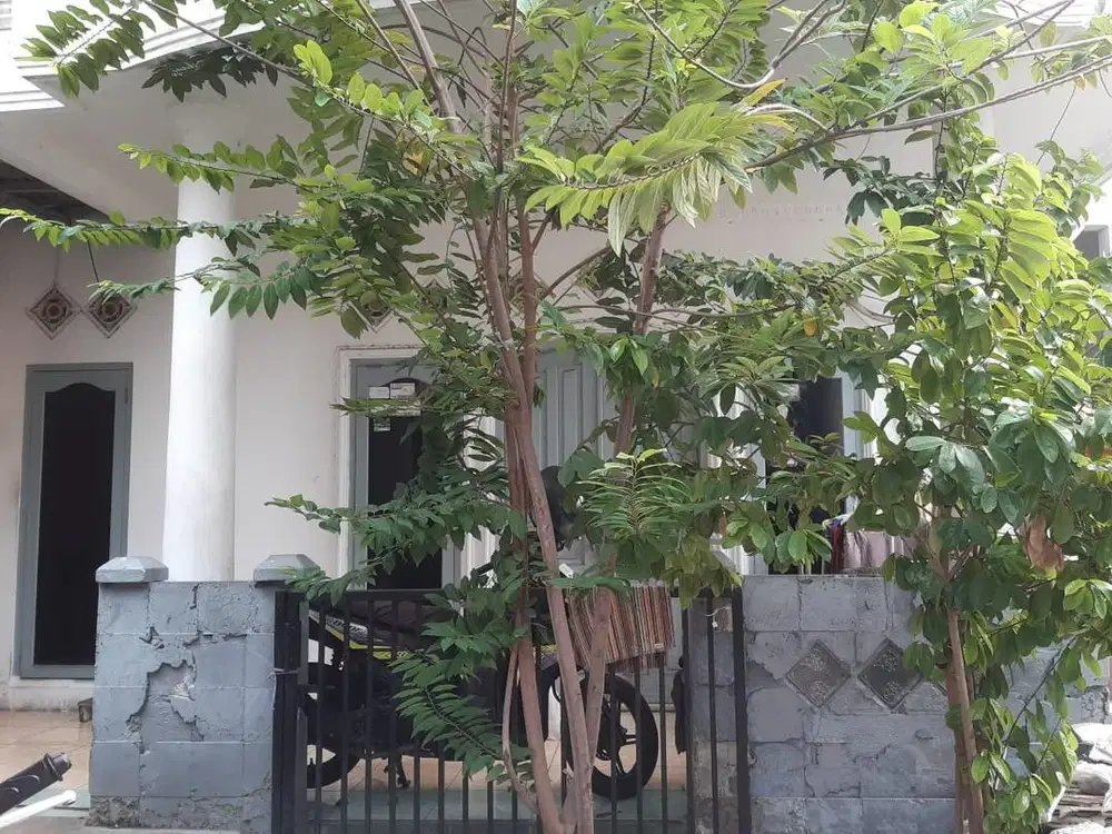 Kontrakan rumah di Kemayoran Jakarta Pusat