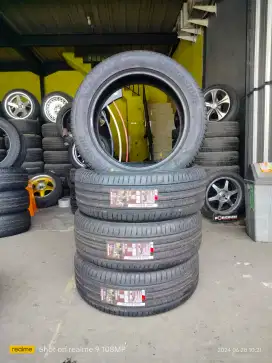 Ban bridgestone alenza 235 55 19