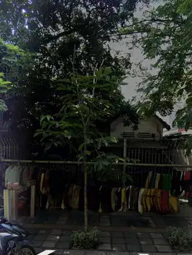 Dijual Tanah Komersial jalan Arjuna Surabaya Pusat Muraahh