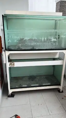 Aquarium jumbo for sale