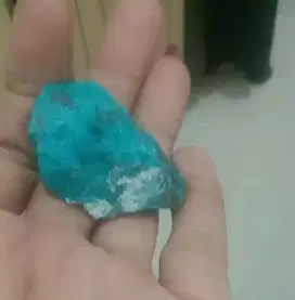 Bahan bacan doko Super higt qualty