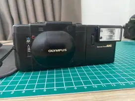 Olympus XA1 with Flash