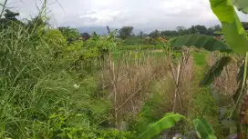 Tanah kebun investasi rata siap bangun view lepas nempel jalan