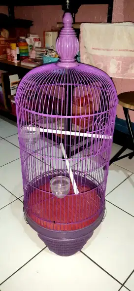 Kandang Burung Lovebird