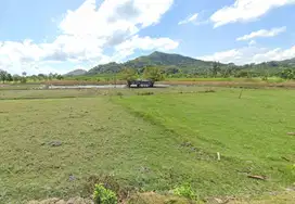 Tanah SHM Pinggir Pantai Sekotong, Luas 8 Hectare, Lombok Barat
