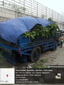 JASA BUANG PUING DAN SAMPAH PROYEK