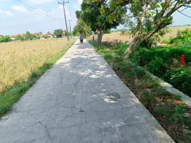 Tanah Kavling murah