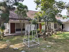 Kamar Kost Pet Friendly