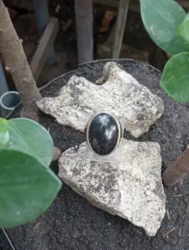 Batu Fosil Kelor Serat Perak