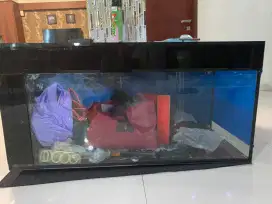 Aquarium kaca tebal