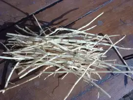 Herbal akar alang-alang segar bersih siap pake tinggal rebus brkhasiat