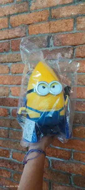 Tumbler minion lucu