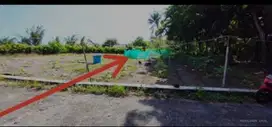 Tanah  pekarangan dekat wisata Mangrove