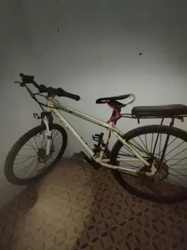 Sepeda Wimcycle RC-DX