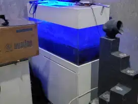 Akuarium 1 meter