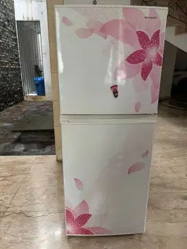 Kulkas 2 pintu sakura SHARP