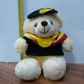 Boneka Preloved Beruang Wisuda (tinggi 24 cm)