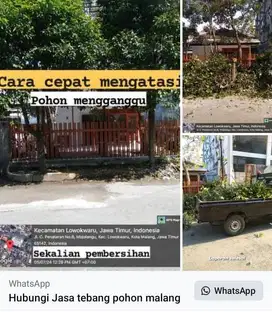 tebang pohon plus pembersihan