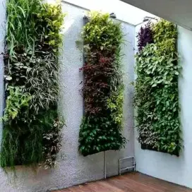 TUKANG TAMAN VERTIKAL GARDEN/JASA PEMBUATAN TAMAN VERTIKAL GARDEN