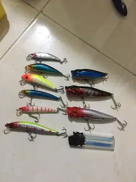 Minnow dan popper