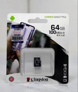 Micro SD Kingston 64GB kelas 10