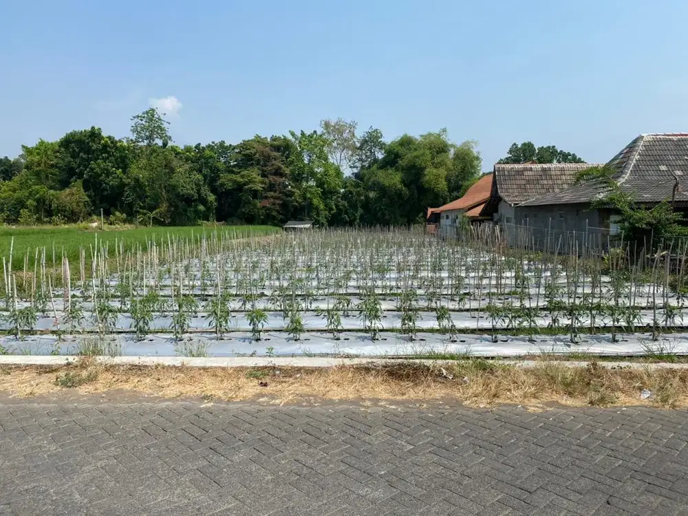 Dijual Tanah Cocok untuk Villa, Rumah Makan, Kebun