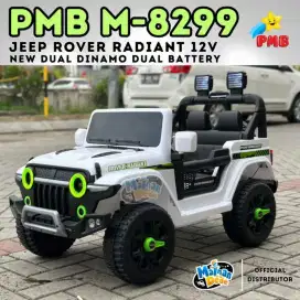 Promo Mobil Aki Jeep Rover Radiant sdah 12v, stok sdkt. Bergaransi