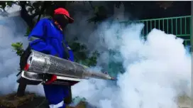 Menerima jasa fogging pengasapan nyamuk dbd