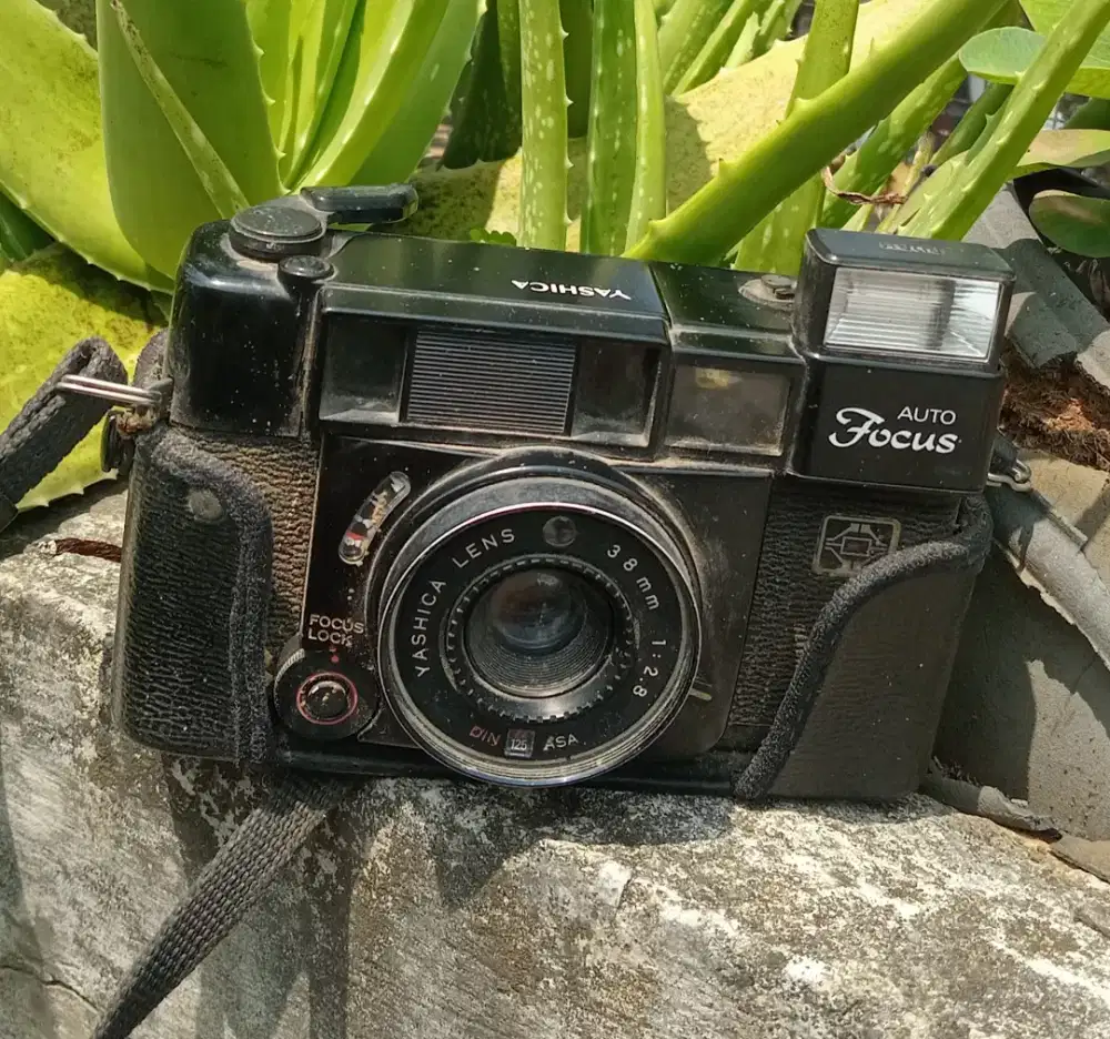 Kamera Analog Japan YASHICA