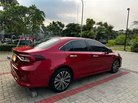 Altis Hybrid Merah Istimewa 2020