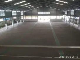 Disewakan Gudang Di Kawasan Industri Morden Cikande Lt 4000m2