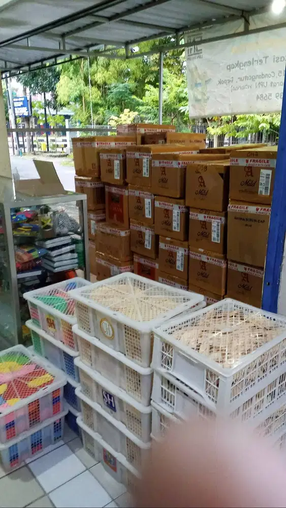 Ape Bop Paud Dak Tk 2025