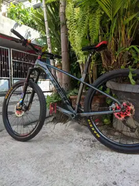 Trek x caliber 8 titanium greyy