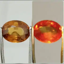 Natural Color Change Garnet 2.82 Carats Sertipikat Notreated