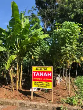 Tanah Kavling Nogosari
