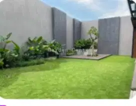 Taman rumput gajah mini