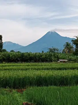 Tanah dijual. Kavling. Ngaglik, Sleman Yogyakarta. Lokasi rumah mewah.