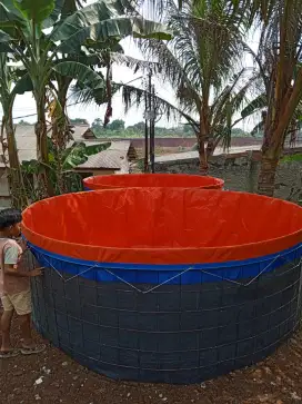 Kolam ikan hias