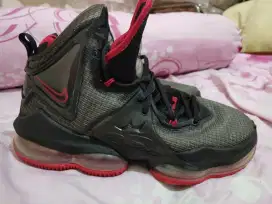Sepatu Nike James Le Bron no 41 original