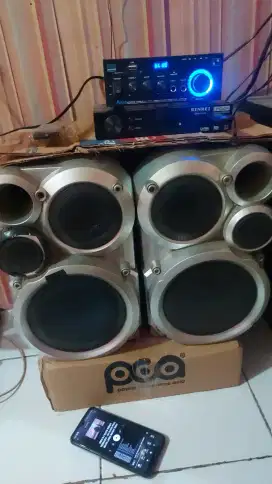 Sepasang speaker pasif oke