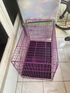 Kandang Kucing warna ungu