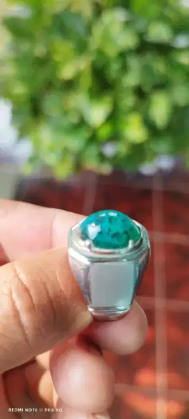 Bacan Doko trotolan
