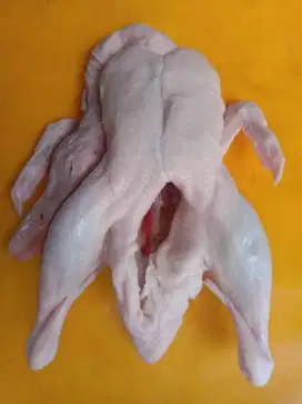 Bebek Potong Karkas Utuh Hybrida