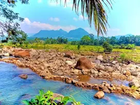 Tanah Kavling Desa Wisata Puncak 2 Bogor