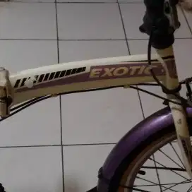 Sepeda EXOTIC yang bagus
