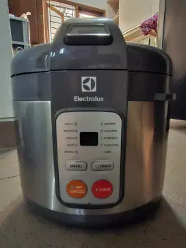 Rice Cooker Electrolux Serbaguna